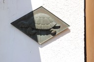 img-3229.jpg