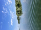 img-7538.jpg