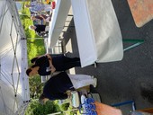 img-138060.jpg