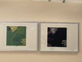 img-7184.jpg